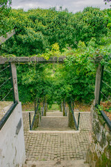 stone path in the park