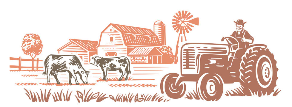 recommend clip art: Country farm with tractor and cows. Countryside line sketch