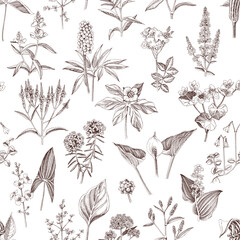 Floral seamless pattern, different swamp plants 