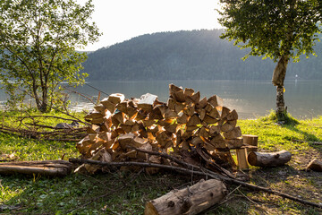 Chopped firewood on the river bank on a warm summer day