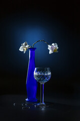 Still life with a white orchid in a blue vase on a dark background