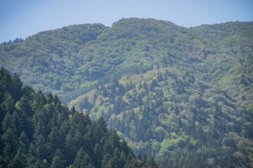 view from the top of mountain