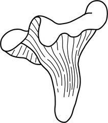 doodle freehand sketch drawing of chanterelle mushroom vegetable.