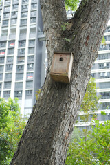  a bee hotel, Insect hotel on the tree 