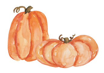 2 Pumpkins, Round and Tall, Thanks giving or Halloween in Fall Season  - 530091663
