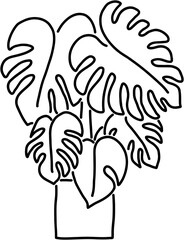 Simplicity monstera plant freehand drawing flat design.