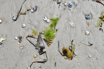 Moments of the  Beach 