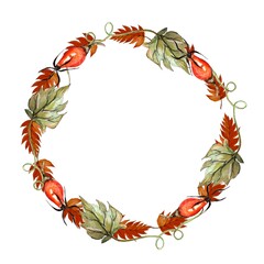 Watercolor Fall wreath, autumn frame with leawes and berries, isolated on white background