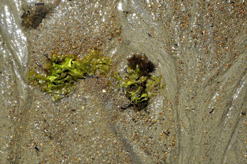Moments of the  Beach 