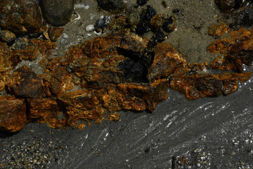 Moments of the  Beach 