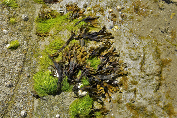 Moments of the  Beach 