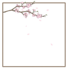 cherry blossom Frame