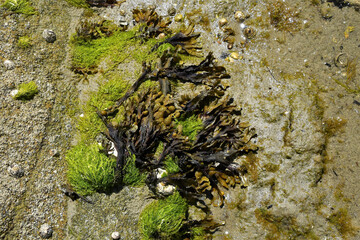 Moments of the  Beach 