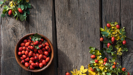 Fototapeta na wymiar Rosehip berries on wooden rustic background. rosehip branches. Banner