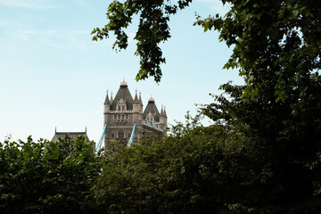 Tower bridge in London view from a nearby park with trees in front