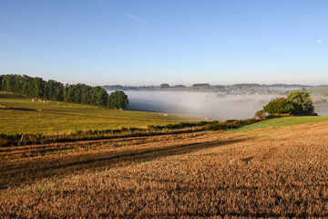 Belgique Wallonie Ardenne paysage brouillard automne Vaux sur Sure village losange