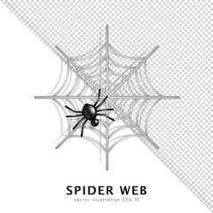 3D grey cobweb with black venomous spider isolated on white and transparent background. Cartoon spider web with carnivorous creepy insect. Spooky trap, silver thread. Halloween decoration.