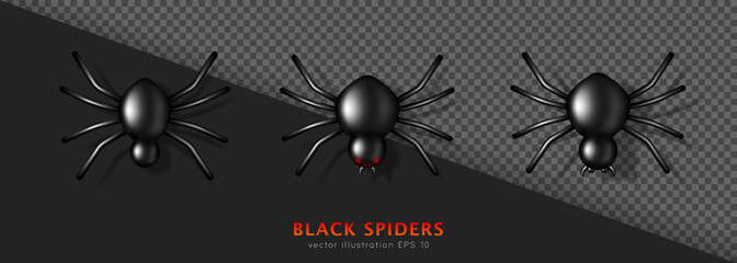 Set of three different 3D black glossy venomous spiders with shadow. Carnivorous creepy animal isolated on black and transparent background. Shiny Halloween character for decoration. Horror concept