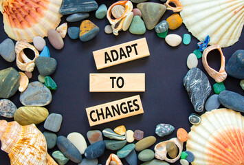 Adapt to changes symbol. Concept words Adapt to changes on wooden blocks. Beautiful black...