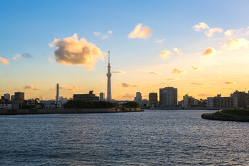 Obraz premium 東京都葛飾区 中川奥戸展望デッキから見える夕暮れの風景