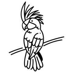 Black palm cockatoo icon