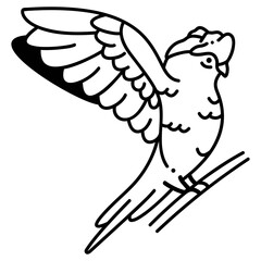 Galah Cockatoo icon