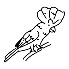 Umbrella cockatoo icon