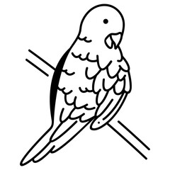 Sun Conures icon