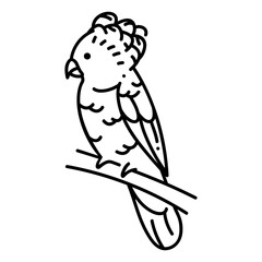 Hawk-Headed Parrots icon