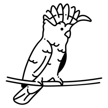 Major mitchell cockatoo icon