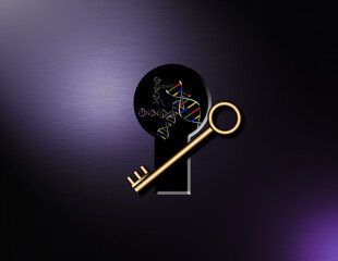 Key and keyhole. DNA strands