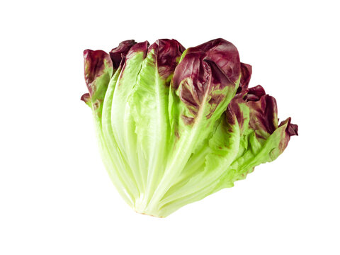 Purple Lettuce Salad Head Side View Isolated Transparent Png
