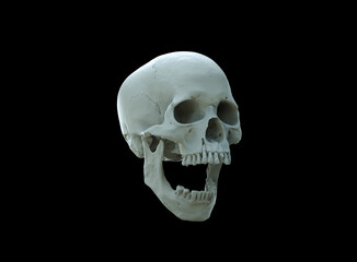 Human skull and wide-open mouth on black isolated background. The concept of death, horror. A symbol of spooky Halloween. 3d rendering illustration.