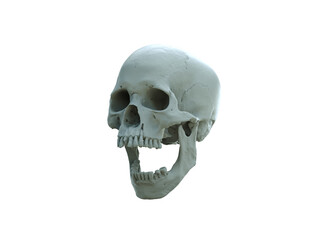 Human skull and wide-open mouth on white isolated background. The concept of death, horror. A symbol of spooky Halloween. 3d rendering illustration.