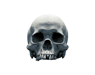 Obraz premium Human skull and wide-open mouth on white isolated background. The concept of death, horror. A symbol of spooky Halloween. 3d rendering illustration.