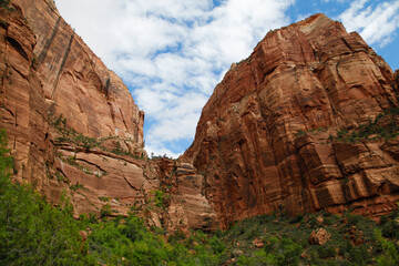 Fototapeta premium Towering, impressive red rock formations at Zion National Park 