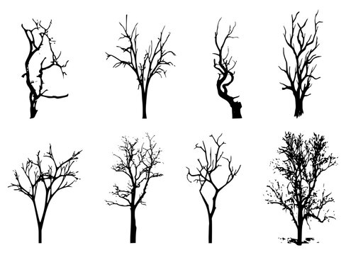 Beautiful winter tree silhouettes, highly detailed.