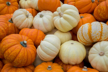 Closeup of colorful display of pumpkins for sale at a local produce stand
