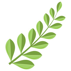 Palm leaf, tropical plant, element for design and decoration