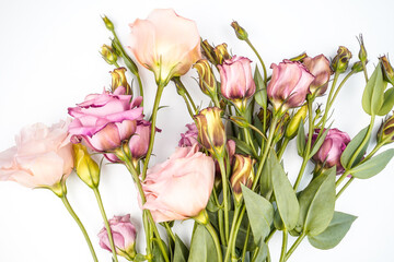 A bunch of apricot and pink placed in the center of the image. White background. Flat lay image. Space for text.