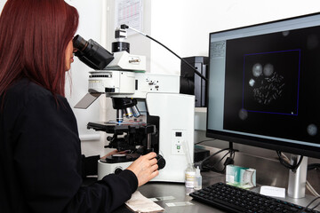 Young female scientist looking at a cell in metaphase stage to make a karyotype in the laboratory