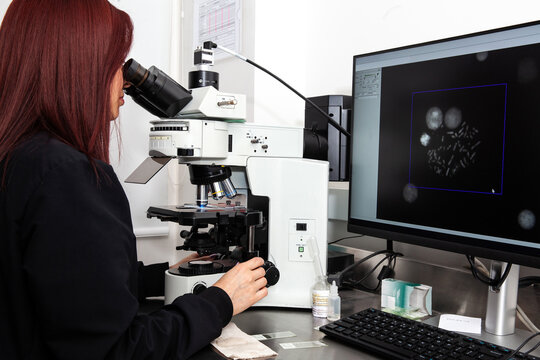 รูปภาพMetaphase – เลือกดูภาพถ่ายสต็อก เวกเตอร์ และวิดีโอ1,157 Biology Diagrams