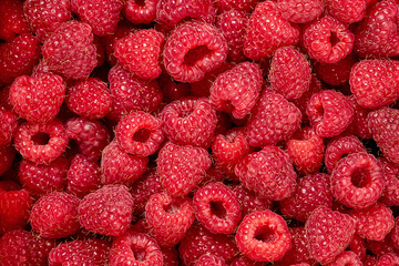 Juicy raspberries close-up. Background from raspberries.Texture of raspberry macro photo. Healthy organic food. Raspberry harvest