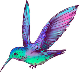 Obraz premium Hummingbird flying transparent background illustration