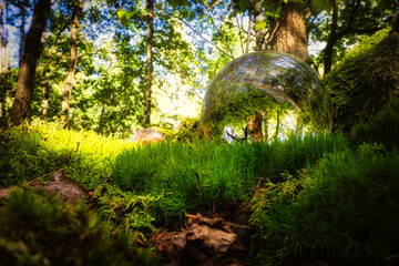 Lensball - Natur - Transparenz  - Zerbrechlich - Ecology - Glass Sphere - Bioeconomy - High quality...