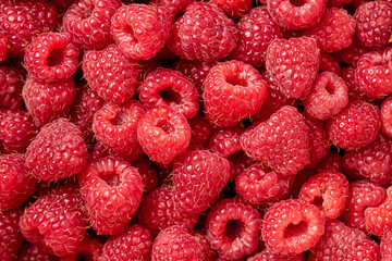 Juicy raspberries close-up. Background from raspberries.Texture of raspberry macro photo. Healthy organic food. Raspberry harvest