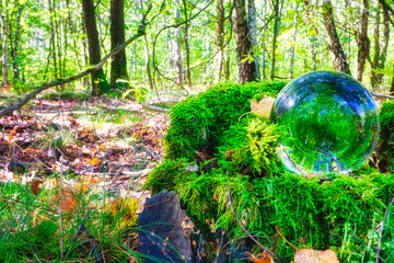 Lensball - Natur - Transparenz  - Zerbrechlich - Ecology - Glass Sphere - Bioeconomy - High quality photo with copy space