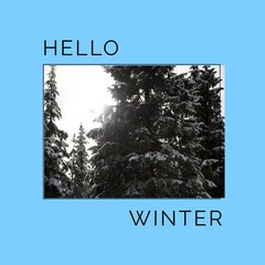 Obraz premium Square image of hello winter text with winter forest picture over blue background