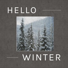 Obraz premium Square image of hello winter text with winter forest picture over grey background