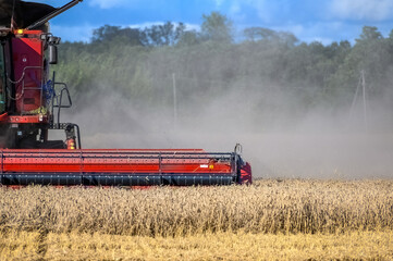 Combine harvester harvesting ripe wheat. Agriculture. Harvest period